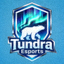 Tundra Esports战队Logo标志